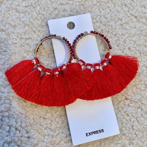 Express Earrings